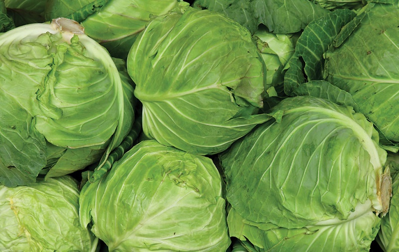 1566551856425107.jpg 1 (7).jpg